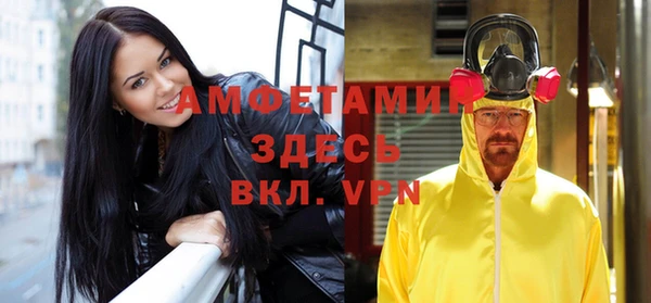 шишки Козельск