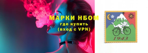 шишки Козельск