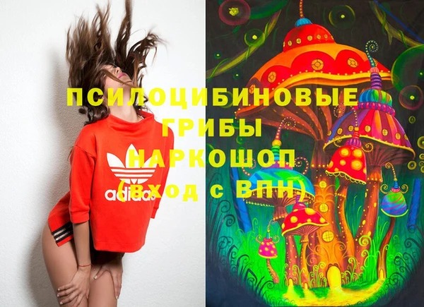спайс Кодинск