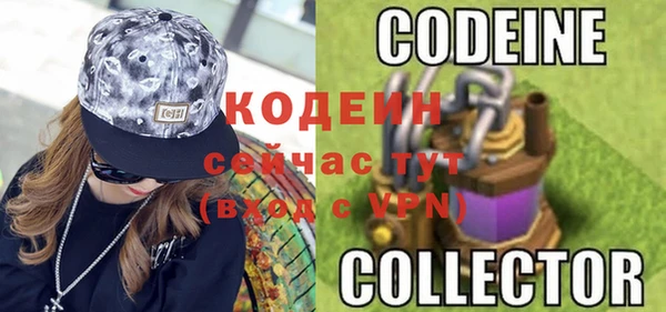 гашик Козловка