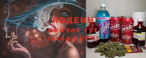 мдпв Кинешма