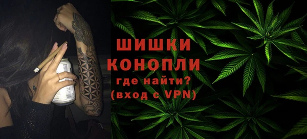 мдпв Кинешма